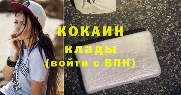 стаф Бородино