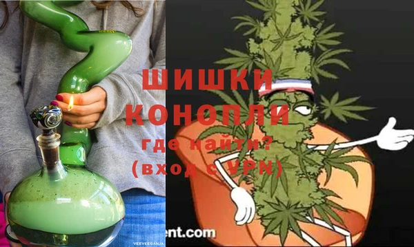 стаф Бородино
