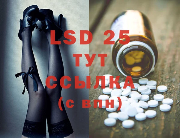 стаф Бородино