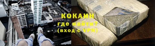 стаф Бородино