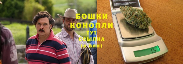 стаф Бородино
