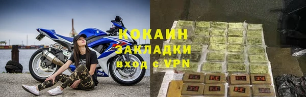 стаф Бородино