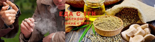 стаф Бородино