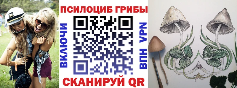 Псилоцибиновые грибы Psilocybine cubensis  Купить где  Малгобек 