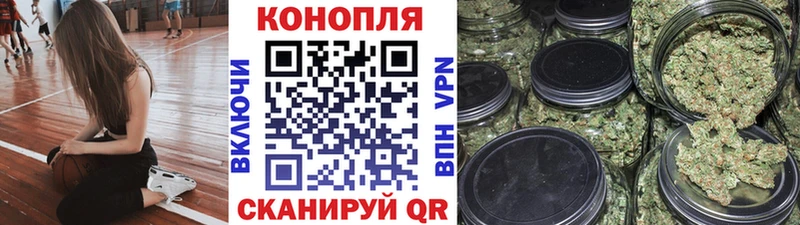 Бошки марихуана план  Купить закладки  Малгобек 